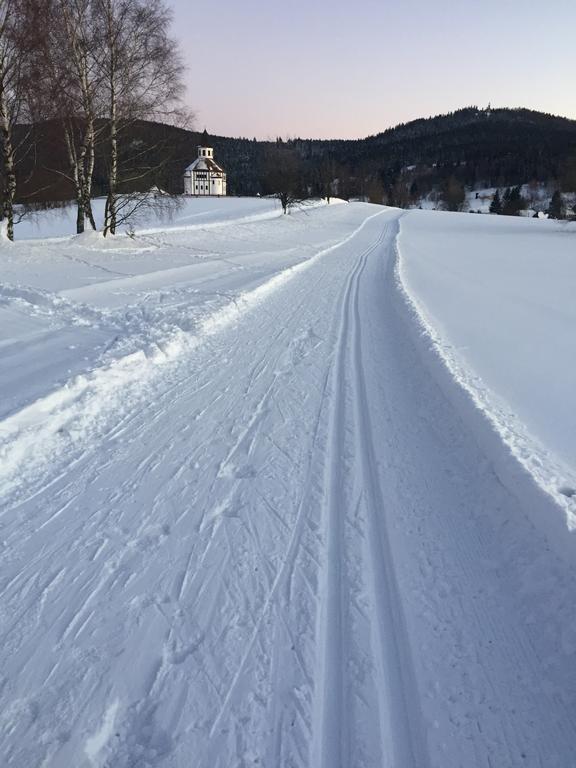 Zrzka